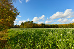 Herbstlandschaft bei Dörgen