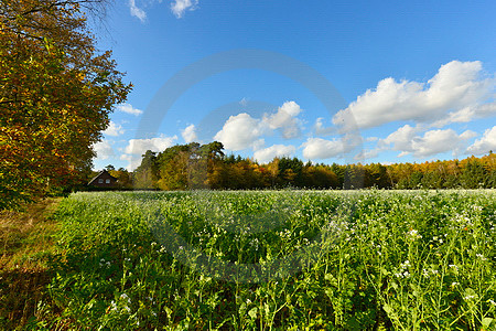 Herbstlandschaft bei Dörgen