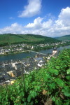 Zell an der Mosel