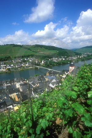 Zell an der Mosel