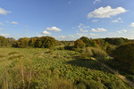 Blick vom Aussichtsturm