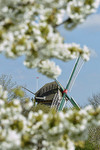 Frühling an der Mersmühle