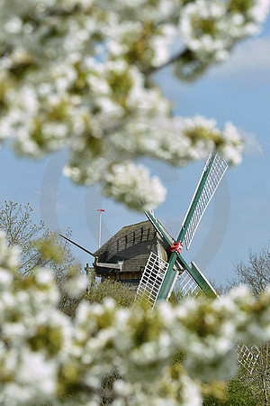 Frühling an der Mersmühle