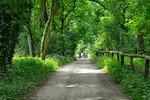 Radwanderer am Borkener Paradies