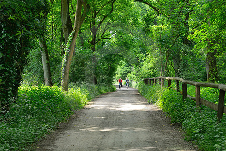 Radwanderer am Borkener Paradies