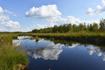 Moorsee am Theikenmeer