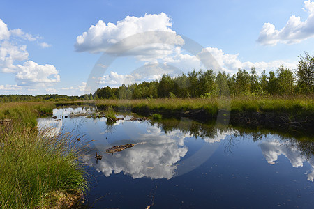 Moorsee am Theikenmeer