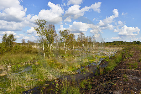 NSG Theikenmeer