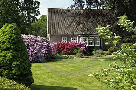 Frühlingsgarten mit Rhododendron in Langen