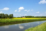 Landschaft an der Hase in Wulften