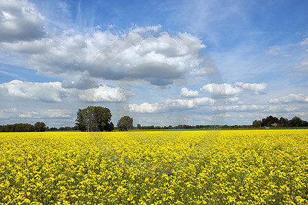 Frühlingslandschaft bei Wulften