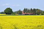 Landschaft bei Badbergen