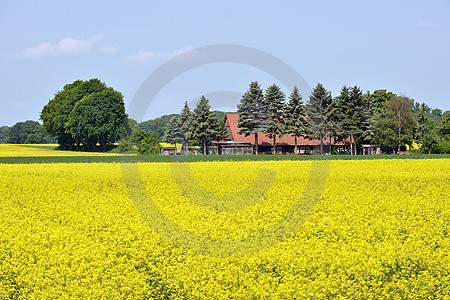 Landschaft bei Badbergen