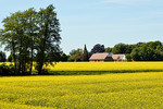 Artlandhof Sudhaus-Middendorf in Wulften