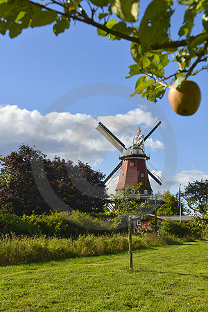 Everdings Mühle in Groß Mimmelage