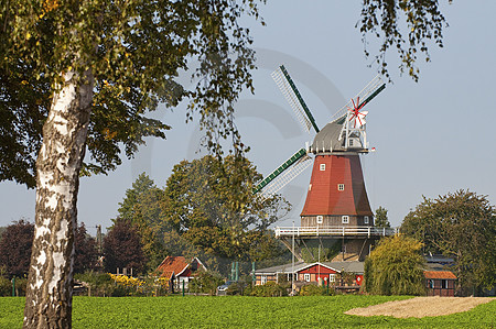 Everdings Mühle in Groß Mimmelage