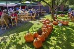 Kürbisfest auf dem Hof Keck