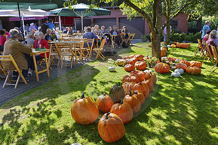 Kürbisfest auf dem Hof Keck