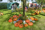 Kürbisfest auf dem Hof Keck