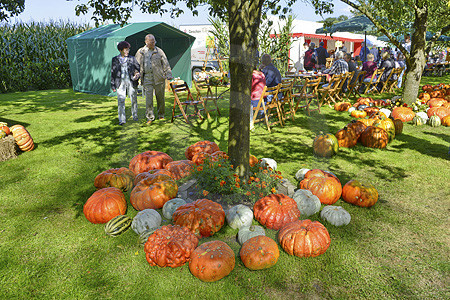 Kürbisfest auf dem Hof Keck