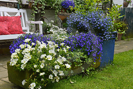 Garten-Impressionen