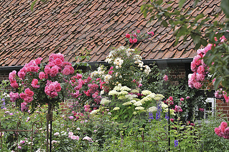 Bauerngarten im Artland