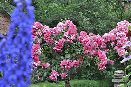 Bauerngarten im Artland