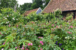 Bauerngarten im Artland