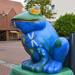 Frosch am 'Poggenpad'