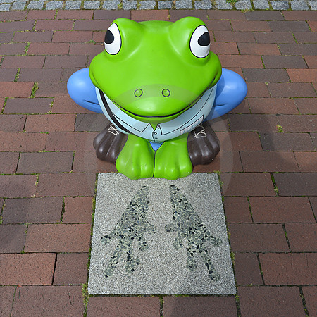 Frosch am 'Poggenpad'