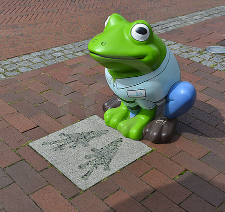 Frosch am 'Poggenpad'