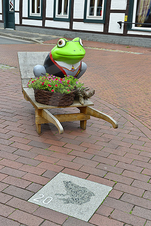 Quakenbrücker Frosch am 'Poggenpad'