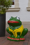 Frosch am 'Poggenpad'