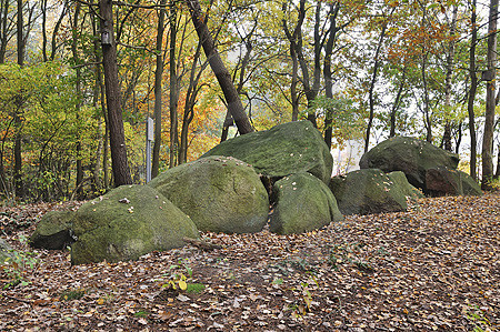 Großsteingrab Rickelmann I (Station 9 i)