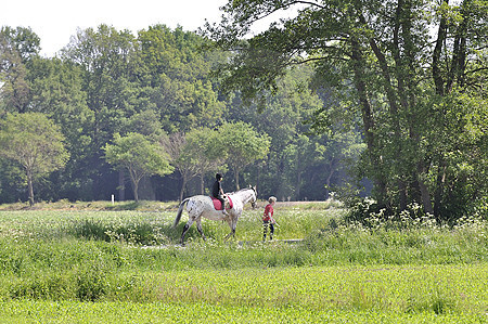 Reiterfreuden im Artland