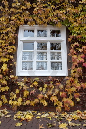 Herbstliches Fenster