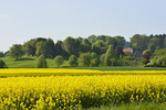 Landschaft in Hagen a.T.W.