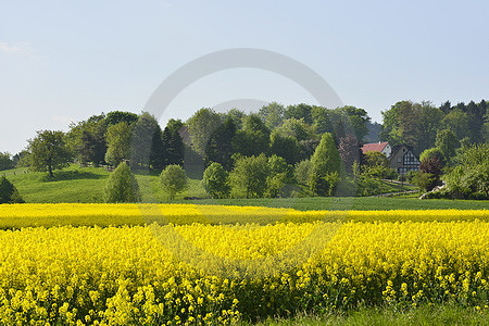 Landschaft in Hagen a.T.W.