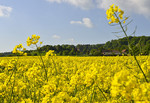 Landschaft in Hagen a.T.W.