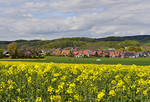 Ortsbild mit Rapsfeld