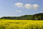 Landschaft in Hagen a.T.W.