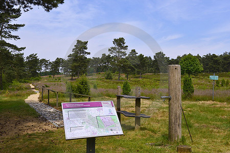 Wacholderhain mit Barfussweg