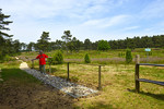 Wacholderhain mit Barfussweg