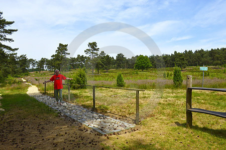 Wacholderhain mit Barfussweg