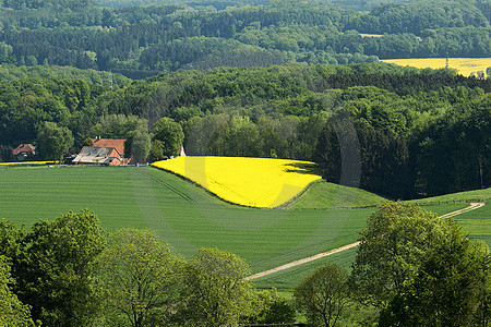 Borgloher Schweiz