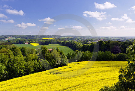 Borgloher Schweiz