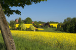 Wasserturm Borgloh