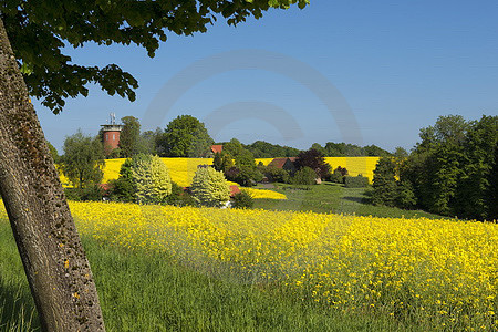 Wasserturm Borgloh