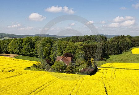 Borgloher Schweiz