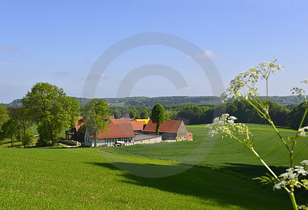 Borgloher Schweiz